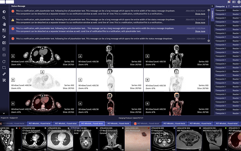 Clinical Imaging Platform